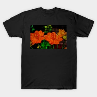 Orange Queen Globe Flower T-Shirt